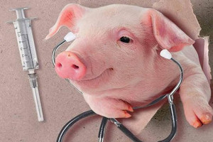 BIDV (BID) đấu giá khoản nợ 1.000 tỷ đồng của tập đoàn thú y sở hữu 15 dây chuyền sản xuất: Tài sản đảm bảo là 7,4ha đất, nhà máy vaccine và 6,37 triệu cổ phần