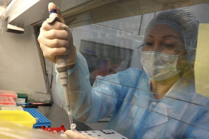 WHO lên tiếng trấn an sau ca tử vong nghi vì bệnh dịch hạch ở Nga