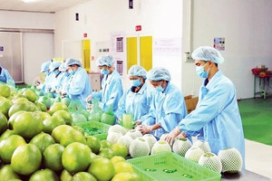 Nông sản 'chạy nước rút' hướng đến mốc 18 tỷ USD cuối năm