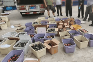 Bắt một cựu Giáo sư hóa học, tịch thu 73kg chất cấm, 5 tấn hoạt chất, triệt phá 7 căn cứ quan trọng đặt tại Việt Nam, Campuchia và Thái Lan