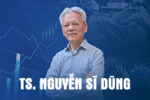 TS Nguyễn Sĩ Dũng: Doanh nghiệp không thể lớn nếu cứ phải lo rủi ro thể chế
