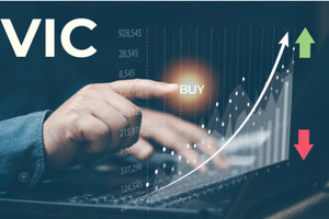 Quỹ của công ty chứng khoán đầu ngành bất ngờ bán sạch cổ phiếu VIC, hạ tỷ trọng VHM