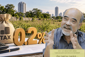 Nói về đánh thuế 0,2% đất bỏ hoang, GS. Đặng Hùng Võ chỉ rõ lý do người găm đất vẫn có thể lãi lớn
