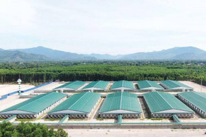 Bán 78 triệu con mỗi năm, tập đoàn chăn nuôi lợn lớn nhất thế giới đến từ Trung Quốc vừa rót 3.600 tỷ vào Gia Lai xây trang trại
