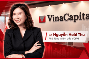 Phó Tổng Giám đốc VCFM: P/E ở mức một chữ số là cơ hội hiếm có cho nhà đầu tư có tầm nhìn dài hạn