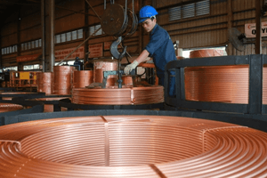 EU đề xuất áp thuế chống bán phá giá tới 15% với một mặt hàng từ Việt Nam, doanh nghiệp chỉ có 3 ngày phản hồi