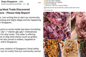 Singapore điều tra vụ bán thịt chó, Bộ Công Thương phát thông báo quan trọng đến doanh nghiệp Việt Nam