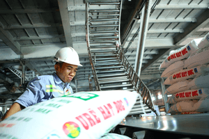 Đề xuất giảm thuế xuất khẩu phân bón từ 5% xuống 0%