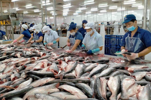 Từng bị cạnh tranh gay gắt trên toàn cầu, mặt hàng này thu về 1,7 tỷ USD chỉ trong 9 tháng nhờ sự bùng nổ của thị trường Nam Mỹ