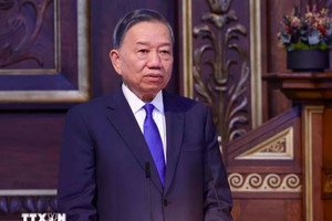 Tổng Bí thư, Chủ tịch nước Tô Lâm: Viết tiếp câu chuyện hợp tác Việt Nam - Đan Mạch bằng lòng tin và tri thức