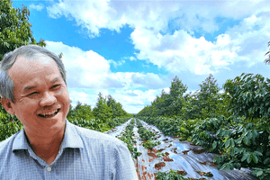 Kết thúc thương vụ IPO nghìn tỷ, công ty chủ lực của bầu Đức lại tính gọi thêm vốn từ cổ đông