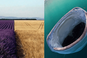 17 bức ảnh cho thấy hình ảnh thực tế của mẹ thiên nhiên còn tuyệt hơn cả photoshop
