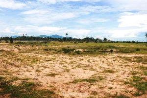 Đề xuất đánh thuế đất bỏ hoang 0,2%, không áp dụng hạn mức
