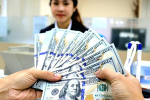 Tỷ giá hôm nay 23/10: USD giảm thêm 10 đồng, tỷ giá trung tâm đi xuống