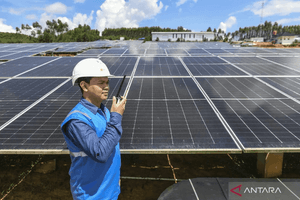 Thủ tướng chốt hạn 31/12, các địa phương phải có chính sách hỗ trợ điện mặt trời mái nhà