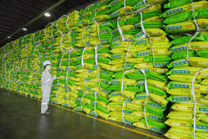 Đạm Phú Mỹ (DPM) báo loạt chỉ tiêu sản xuất kinh doanh vượt kế hoạch