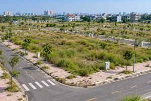 Chuyên gia: Thuế đất bỏ hoang phải từ 1-5% mỗi năm mới đủ sức răn đe