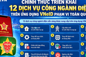Chính thức triển khai toàn quốc 12 dịch vụ công ngành điện trên VNeID