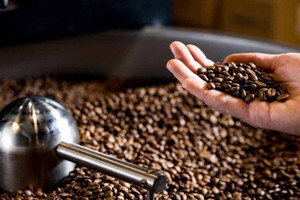 Đưa cà phê giảm phát thải vào chuỗi giá trị toàn cầu