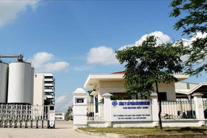 Công ty rượu hơn 120 năm tuổi báo lãi kỷ lục theo quý kể từ khi lên sàn