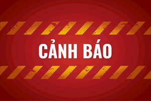 UBCKNN cảnh báo xuất hiện website giả mạo quỹ đầu tư VCBF dụ nhà đầu tư nạp tiền