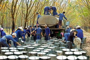 Doanh nghiệp Việt quản lý quỹ đất gần 400.000ha sắp chi 1.600 tỷ đồng cho nhà đầu tư