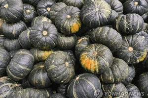 Bắt giữ cụ ông 69 tuổi trộm 660kg bí ngô trên cánh đồng