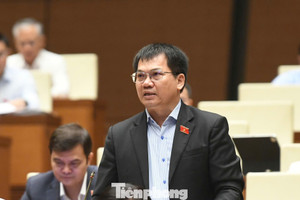 Đại biểu nêu nguyên nhân có thể khiến người dân có chỗ ở mới nhưng mất nguồn sống
