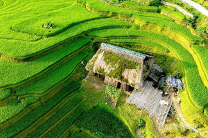 'Ốc đảo' nằm ở độ cao hơn 1.000m dưới chân nóc nhà Đông Bắc: Sở hữu những mái nhà phủ rêu xanh như cổ tích, ruộng bậc thang đẹp mê mẩn