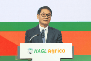 Doanh thu tăng mạnh, HAGL Agrico (HNG) vẫn chìm trong thua lỗ