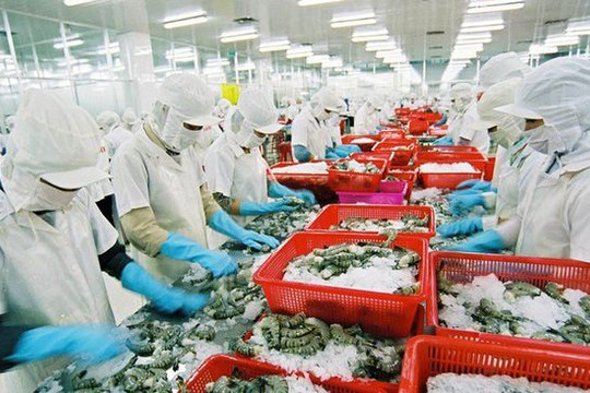 Thủy sản Nam Việt (ANV) dự chi 132 tỷ đồng trả cổ tức năm 2020 cho cổ đông