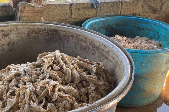 Phát khiếp 7,5 tấn lòng lợn nhiễm dịch tả châu Phi tuồn vào thị trường Việt Nam