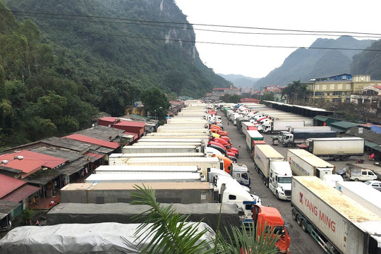 Hơn 2.000 xe Container nông sản ùn ứ không về được nhà ở cửa khẩu Tân Thanh
