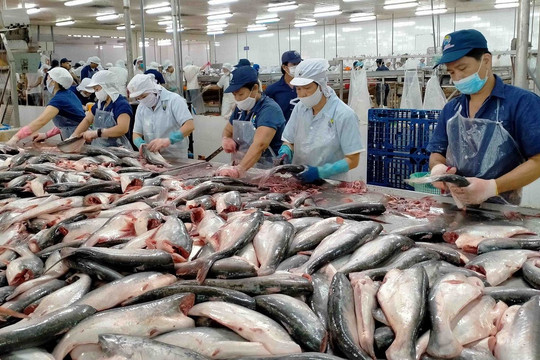Dự báo đạt 1,54 tỉ USD xuất khẩu cá tra năm 2021