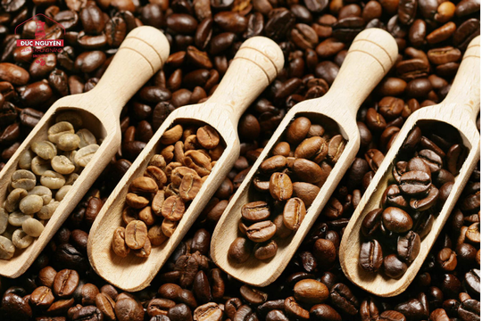 Giá cà phê giảm liên tục tại thị trường nội địa
