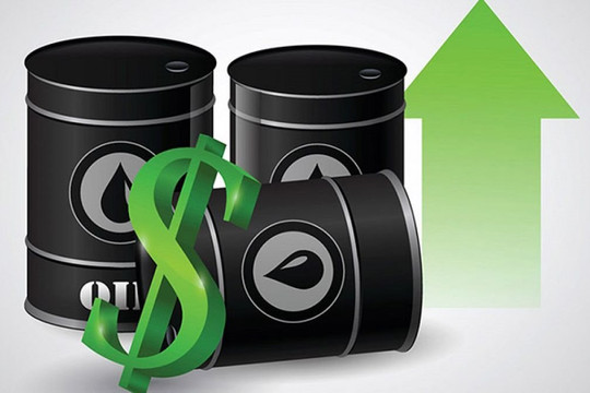 Thị trường xăng dầu hôm nay 13/12: Giá dầu tiếp tục tăng nhẹ