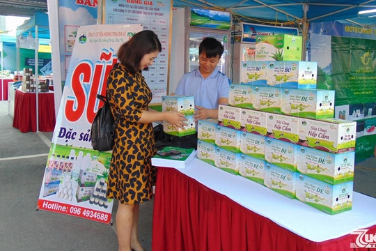 Tuần hàng Việt TP Hà Nội: Thúc đẩy doanh nghiệp phục hồi sản xuất