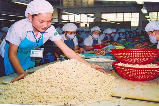 Nhà đầu tư Nhật Bản "kết" ngành thực phẩm Việt Nam