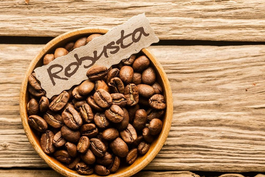 Giá cà phê hôm nay 30/12: Tăng mạnh trở lại, robusta tăng sát mốc 2.500 USD/tấn
