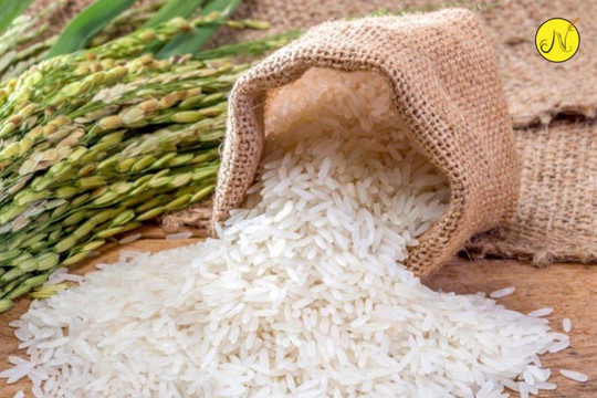 Hà Nội mở rộng thương hiệu gạo Nhật