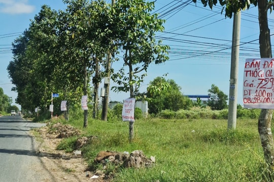 Môi giới “còng lưng” mời chào, khách vẫn dửng dưng với đất miền Tây