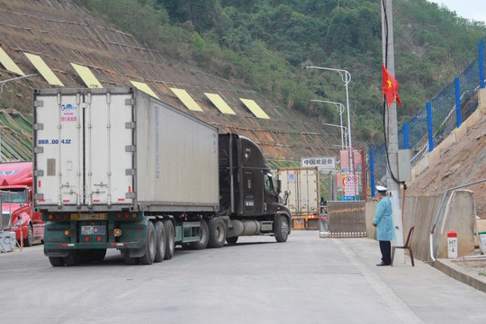 Tỷ lệ xuất khẩu nông sản sang Trung Quốc theo đường tiểu ngạch còn quá lớn