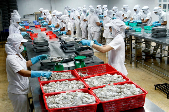 Xuất khẩu thủy sản Việt Nam sang Nga tăng chậm