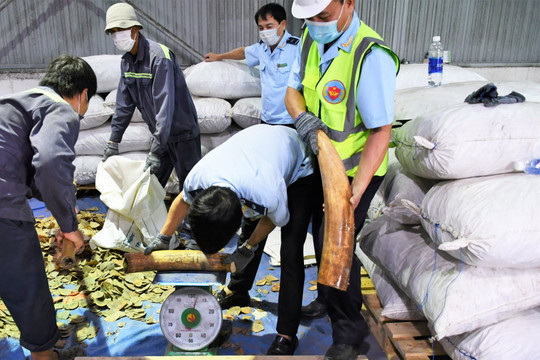 Bí mật bên trong hàng tấn hạt điều nhập khẩu từ Nigeria vào Việt Nam