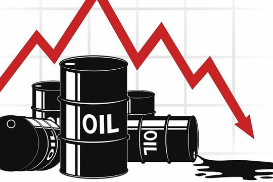 Giá xăng dầu hôm nay 20/1: Đảo chiều lao dốc trên thị trường thế giới