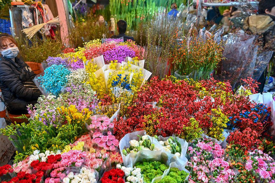 Cận Tết 2022, hoa tươi Trung Quốc đổ bộ thị trường Hà Nội