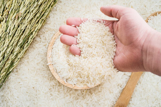 Thị trường gạo thế giới "hạ nhiệt", doanh nghiệp xuất khẩu còn lợi thế?