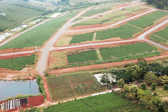 Kiểm tra kết quả hiến đất làm đường trên toàn tỉnh Lâm Đồng