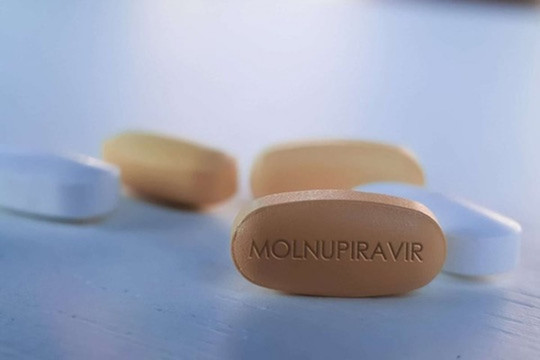 Thuốc chứa hoạt chất Molnupiravir điều trị COVID-19 sẽ bán dưới 300.000 đồng/hộp