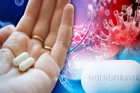 Những đối tượng không được sử dụng Molnupiravir trong điều trị COVID-19
